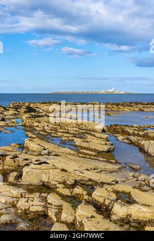 Blick auf Coquet Island und den Leuchtturm, ein vorgelagertes Naturschutzgebiet an der Küste von Northumbria, von der felsigen Küste von Amble im Nordosten Englands aus gesehen Stockfoto