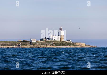 Coquet Island, ein vorgelagertes Naturschutzgebiet an der Küste von Northumbria, vor Amble, Nordostengland Stockfoto