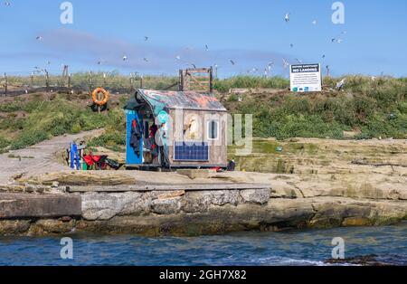 Warden's Hütte auf Coquet Island, einem vorgelagerten Naturschutzgebiet an der Küste von Northumbria, vor Amble, Nordostengland Stockfoto