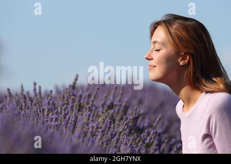 Seitenansicht Porträt einer Frau, die Lavendelblüten auf einem Feld riecht Stockfoto