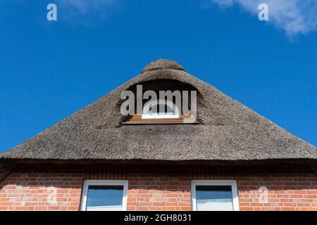 Traditionelles friesisches Strohdach vor blauem Himmel. Stockfoto