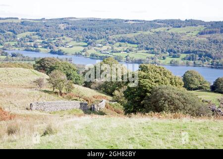 Coniston Wasser von oben gesehen Bleathwaite Weide Coniston Lake District Cumbria England Stockfoto