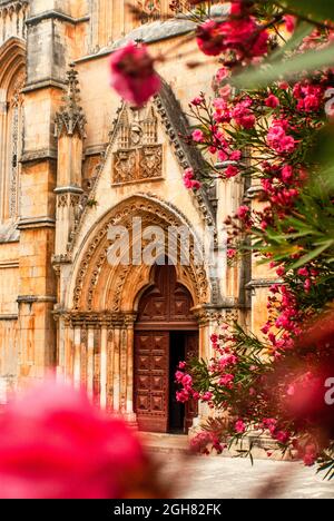 Gotischer Eingang des Klosters von Batalha in rosa blühenden Oleanderblüten im Vordergrund - Nerium Oleander, Batalha, Portugal, Vertical, Select Stockfoto