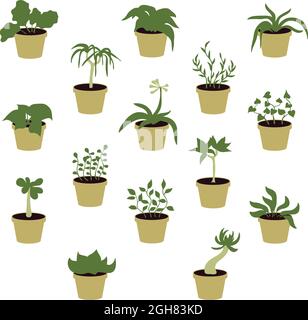 Set von Zimmerpflanzen - Vektor-Illustration Stock Vektor
