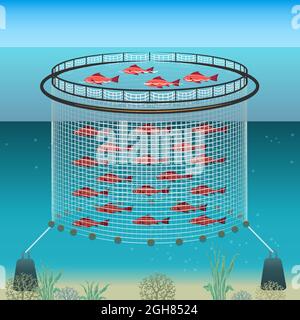 Schwimmende Farm-Illustration Stock Vektor