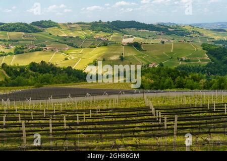 Ländliche Landschaft im Frühling in Langhe bei Dogliani, Provinz Cuneo, Piemont, Italien, UNESCO-Weltkulturerbe. Stockfoto