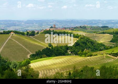 Ländliche Landschaft im Frühling in Langhe bei Dogliani, Provinz Cuneo, Piemont, Italien, UNESCO-Weltkulturerbe. Stockfoto