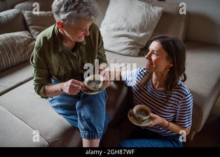 Glückliche ältere Mutter trinkt Kaffee mit erwachsenen Tochter drinnen zu Hause, reden. Stockfoto
