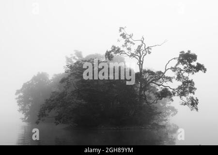 Silhouetten von Bäumen auf einer kleinen Insel in einem See, umgeben von dichtem Nebel Stockfoto