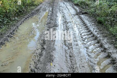 Große und breite Reifenspuren oder Reifenspuren eines schweren Traktors auf schlammigem und nassem Weg Stockfoto