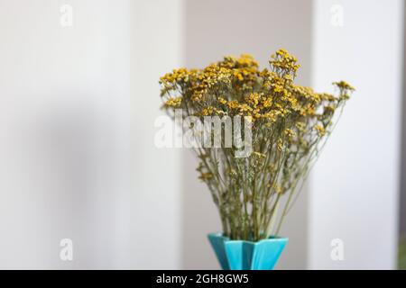 Gelb getrocknete Statice Blüten in einer Vase Stockfoto