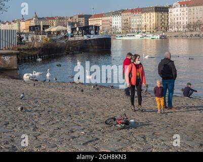 Prag, Tschechische Republik, 26. März 2021: Menschen, junge Familie ernähren Schwan, Enten und Möwen am Ufer der Moldau, dem sogenannten Naplavka-Ufer Stockfoto