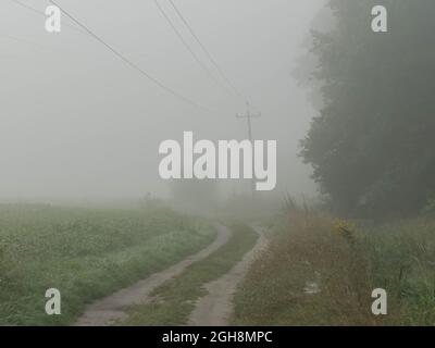 Flaches, weitläufiges Gelände. Felder und Wiesen. Eine dichte Schicht Morgennebel erhebt sich über den Boden. Objekte in der Ebene sind verschwommen und schwer zu sehen. Stockfoto