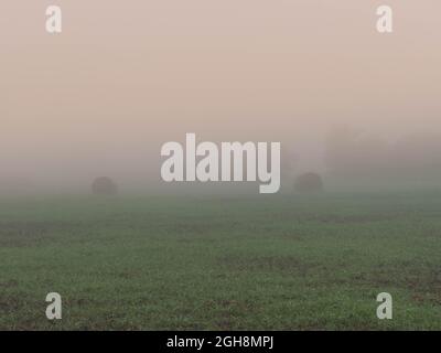 Flaches, weitläufiges Gelände. Felder und Wiesen. Eine dichte Schicht Morgennebel erhebt sich über den Boden. Objekte in der Ebene sind verschwommen und schwer zu sehen. Stockfoto