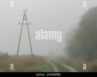 Flaches, weitläufiges Gelände. Felder und Wiesen. Eine dichte Schicht Morgennebel erhebt sich über den Boden. Objekte in der Ebene sind verschwommen und schwer zu sehen. Stockfoto