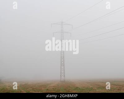 Flaches, weitläufiges Gelände. Felder und Wiesen. Eine dichte Schicht Morgennebel erhebt sich über den Boden. Objekte in der Ebene sind verschwommen und schwer zu sehen. Stockfoto