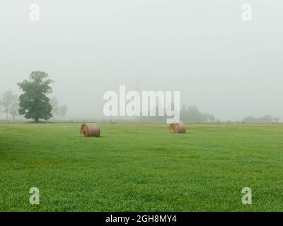 Flaches, weitläufiges Gelände. Felder und Wiesen. Eine dichte Schicht Morgennebel erhebt sich über den Boden. Objekte in der Ebene sind verschwommen und schwer zu sehen. Stockfoto