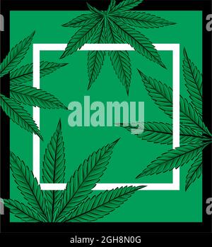 Skizze von Marihuana-Blättern, Cannabis auf weißem Hintergrund Vektorgrafik Stock Vektor