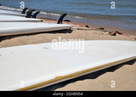 Paddelbretter liegen im Sommer am Strand Stockfoto