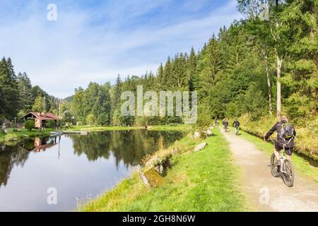 Menschen, die im Nationalpark Sumava in Böhmen, Tschechien, Mountainbikes fahren Stockfoto