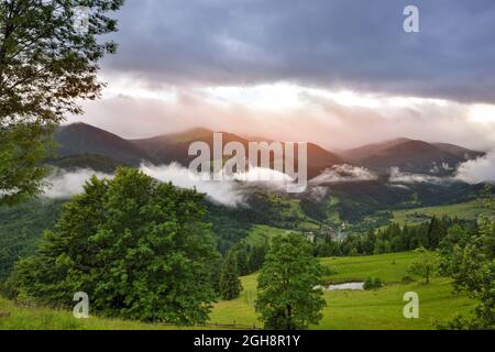 Das herrliche Bergtal ist nach dem Regen mit grünen Bergwiesen bedeckt. Neblige Landschaft. Ort Ort Karpatengebirge, Ukraine, Stockfoto