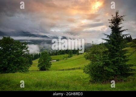 Das herrliche Bergtal ist nach dem Regen mit grünen Bergwiesen bedeckt. Neblige Landschaft. Ort Ort Karpatengebirge, Ukraine, Stockfoto