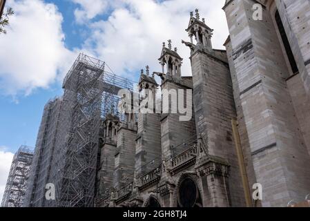 Frankreich, Paris, die Kathedrale Notre-Dame auf einem Gerüst Stockfoto