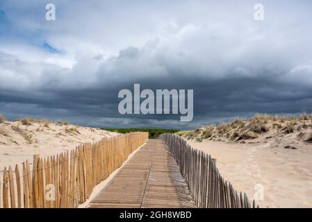 Frankreich, Gironde, Carcans, Zugang zum Strand, Sanddüne Stockfoto