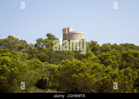 Aussichtsturm auf einem Hügel mit Kiefern (Spanien) Stockfoto