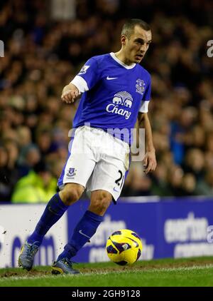 Leon Osman von Everton in Aktion während des Barclays Premier League-Spiels zwischen Everton und West Bromwich Albion am 30. Januar 2013 im Goodison Park in Liverpool. Stockfoto