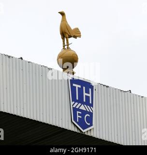 Der Tottenham-Hahn während des Barclays Premier League Fußballmatches zwischen Tottenham Hotspur und Newcastle United am 09. Februar 2013 in der White Hart Lane in London, Großbritannien. Stockfoto