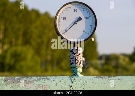 Vorderansicht, horizontale Aufnahme im Freien. Stockfoto