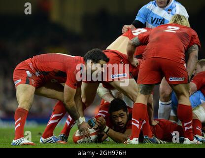 Toby Faletau aus Wales übergibt den Ball an Mike Phillips aus Wales während der Rugby Union Dove Men Serie 2013 zwischen Wales und Argentinien, die am 16. November 2013 im Millennium Stadium in Cardiff, Wales, stattfand. Foto: Simon Bellis. Stockfoto