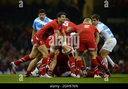 Mike Phillips aus Wales füttert den Ball während der Rugby Union Dove Men Serie 2013 zwischen Wales und Argentinien, die am 16. November 2013 im Millennium Stadium in Cardiff, Wales, stattfand. Foto: Simon Bellis. Stockfoto