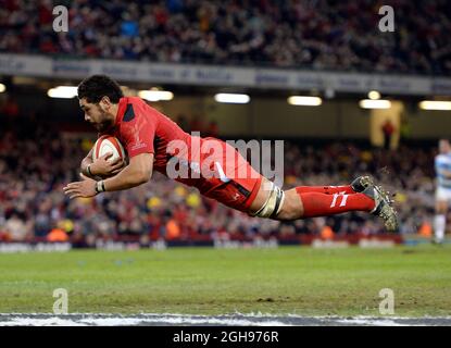 Toby Faletau aus Wales taucht auf, um einen Versuch während der Rugby Union Dove Men Serie 2013 zwischen Wales und Argentinien zu machen, die am 16. November 2013 im Millennium Stadium in Cardiff, Wales, stattfand. Foto: Simon Bellis. Stockfoto