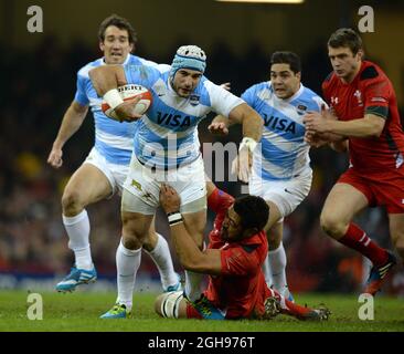 Juan Manuel Leguizamon spielt für Argentinien in Angriff genommen von Toby Faletau aus Wales während der Rugby Union Dove Men Serie 2013 zwischen Wales und Argentinien im Millennium Stadium in Cardiff, Wales am 16. November 2013. Foto: Simon Bellis. Stockfoto
