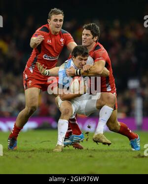 Lucas Gonzalez spielt für Argentinien gefangen von James Hook aus Wales während der Rugby Union Dove Men Serie 2013 zwischen Wales und Argentinien, die am 16. November 2013 im Millennium Stadium in Cardiff, Wales, stattfand. Foto: Simon Bellis. Stockfoto