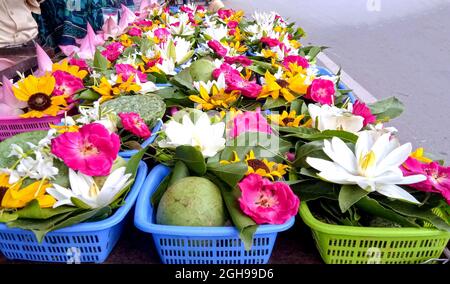 Blumen und Bela auf Korb Opfergaben für hinduistische religiöse Zeremonie oder Shivratri Festival in indien Stockfoto