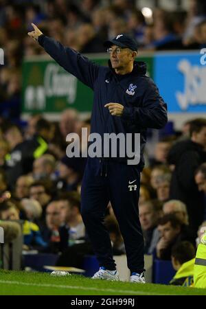 Tony Pulis Manager von Crystal Palace ruft am 16. April 2014 während des Barclays Premier League-Spiels zwischen Manchester City und West Bromwich Albion im Goodison Park in Liverpool, Großbritannien, aus der Kontaktlinie. Stockfoto