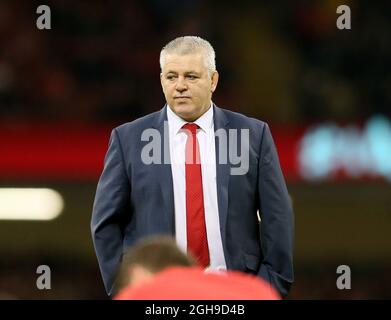 Wales-Trainer Warren Gatland beim Dove Men Series-Spiel zwischen Wales und Neuseeland im Millennium Stadium, Cardiff, wales am 22. November 2014. Stockfoto