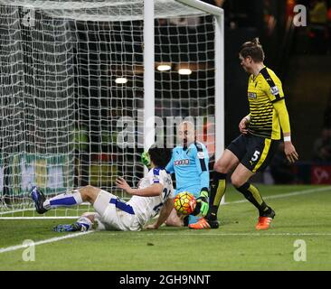 Watfords Heurelho Gomes rettet vor Shinji Okazaki aus Leicester City während des Spiels der Barclays Premier League in der Vicarage Road. Bildnachweis sollte lauten: David Klein/Sportimage via PA Images Stockfoto