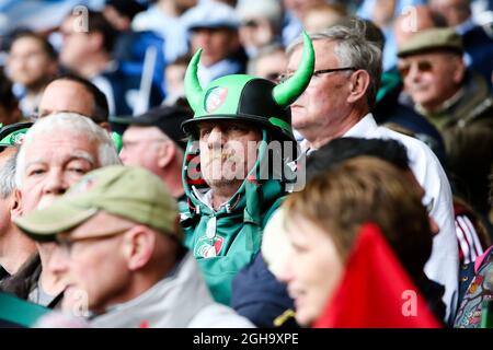 Leicester-Fans beim Halbfinale des European Rugby Champions Cup 2016 auf dem City Ground, Nottingham. Der Bildnachweis sollte lauten: Charlie Forgham Bailey/Sportimage Stockfoto