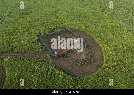 Gasverteilerstation in einem Sonnenblumenfeld mit einer solarbetriebenen Ladestation. Gasverteilerreinigungsanlagen Luftdrohnenansicht. Stockfoto