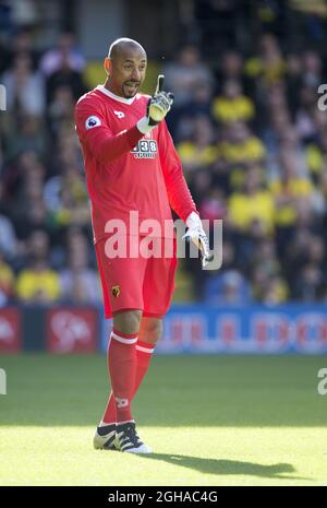 Watfords Heurelho Gomes in Aktion während des Spiels der Premier League im Vicarage Road Stadium, London. Bilddatum 1. Oktober 2016 Pic David Klein/Sportimage via PA Images Stockfoto