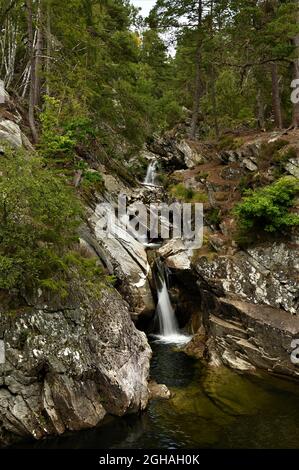 Ein Blick auf die Landschaft an den Wasserfällen von Bruar in der Nähe von Blair Atholl im Norden von Perthshire, Schottland. Stockfoto