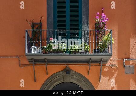 Detail der orangefarbenen façade eines alten Hauses mit blühenden Topfpflanzen auf einem kleinen Balkon im Sommer, Livorno, Toskana, Italien Stockfoto