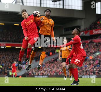 Roberto Firmino von Liverpool fordert Kortney Hause von Wolverhampton Wanderers während des vierten Spiels des englischen FA Cups im Anfield Stadium, Liverpool Bilddatum: 28. Januar 2017. PIC Simon Bellis/Sportimage über PA Images Stockfoto