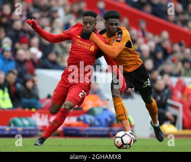 Divock Origi aus Liverpool im Einsatz mit Kortney Hause aus Wolverhampton Wanderers beim vierten Spiel des englischen FA Cup im Anfield Stadium, Liverpool Bilddatum: 28. Januar 2017. PIC Simon Bellis/Sportimage über PA Images Stockfoto