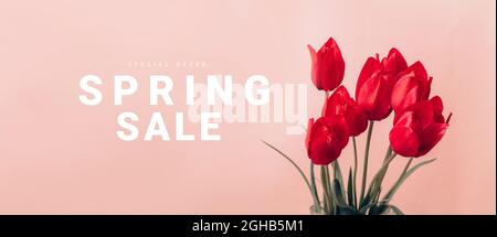 Schöne Komposition Frühlingsblumen für den Muttertag. Bouquet von roten Tulpen Blumen auf pastellrosa Hintergrund. Stockfoto