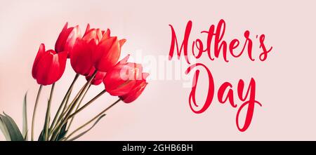 Bouquet von schönen roten Frühlingsblumen Tulpen Blumen auf pastellrosa Hintergrund. Valentinstag, Muttertag, Frauentag Konzept. Stockfoto